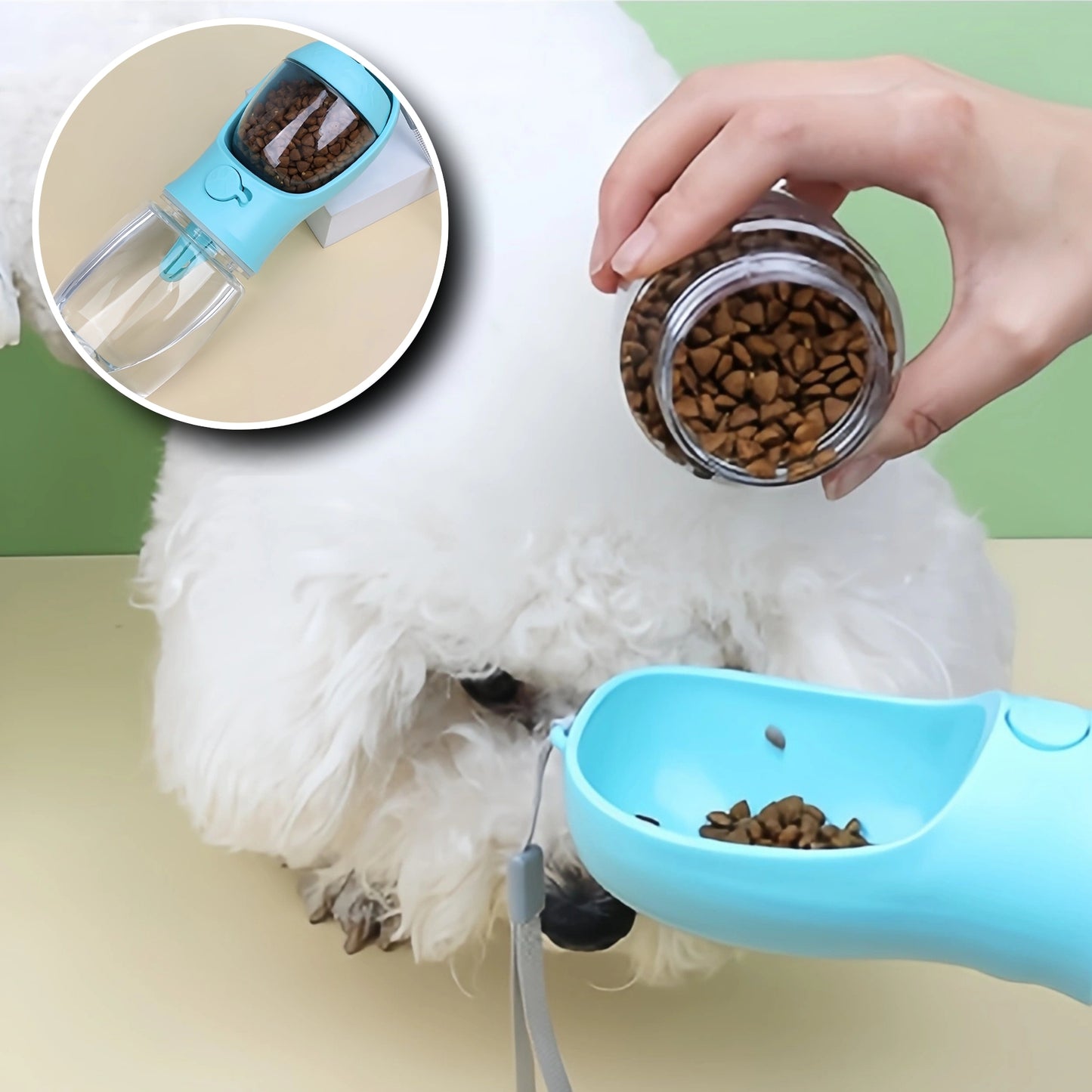 Gourde pour Chien - Nomade