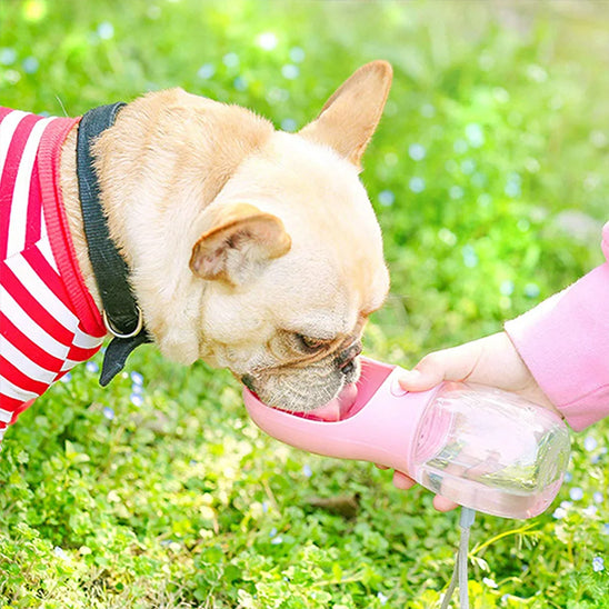 Gourde pour Chien - Nomade