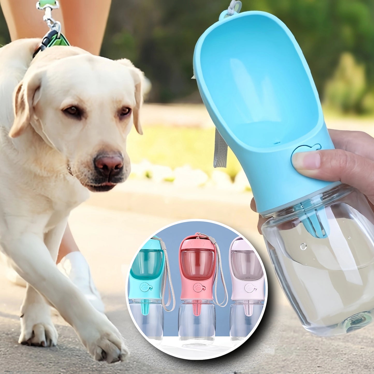 Gourde pour Chien - Nomade