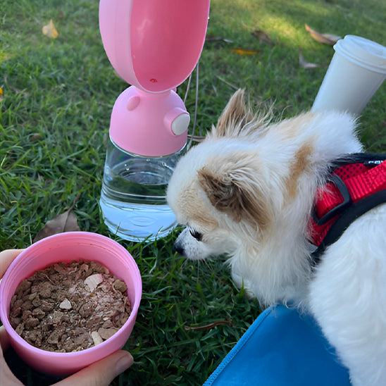 Gourde pour Chien - Polyvalente