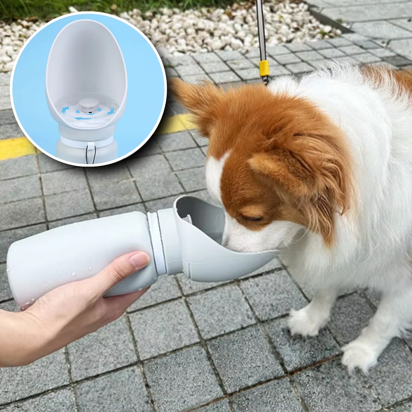 Gourde pour Chien - Portable