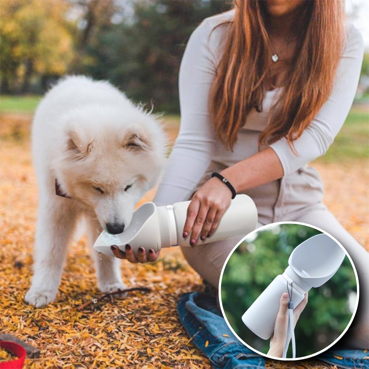 Gourde pour Chien - Portable