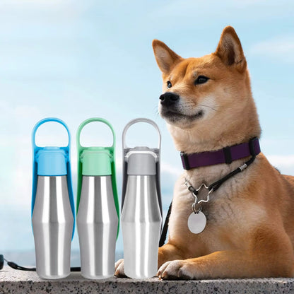 Gourde pour Chien - Rafraîchissante