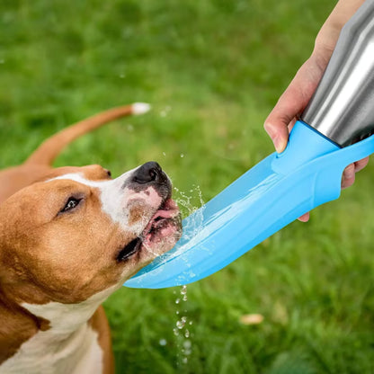 Gourde pour Chien - Rafraîchissante