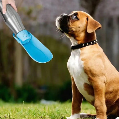 Gourde pour Chien - Rafraîchissante
