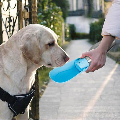 Gourde pour Chien - Rafraîchissante
