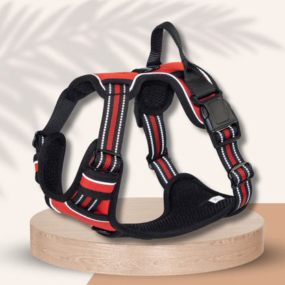 Harnais Chien Anti Traction - Confort