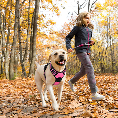 Harnais Chien Anti Traction - Confort
