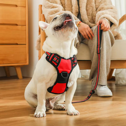 Harnais Chien Anti Traction - Confort