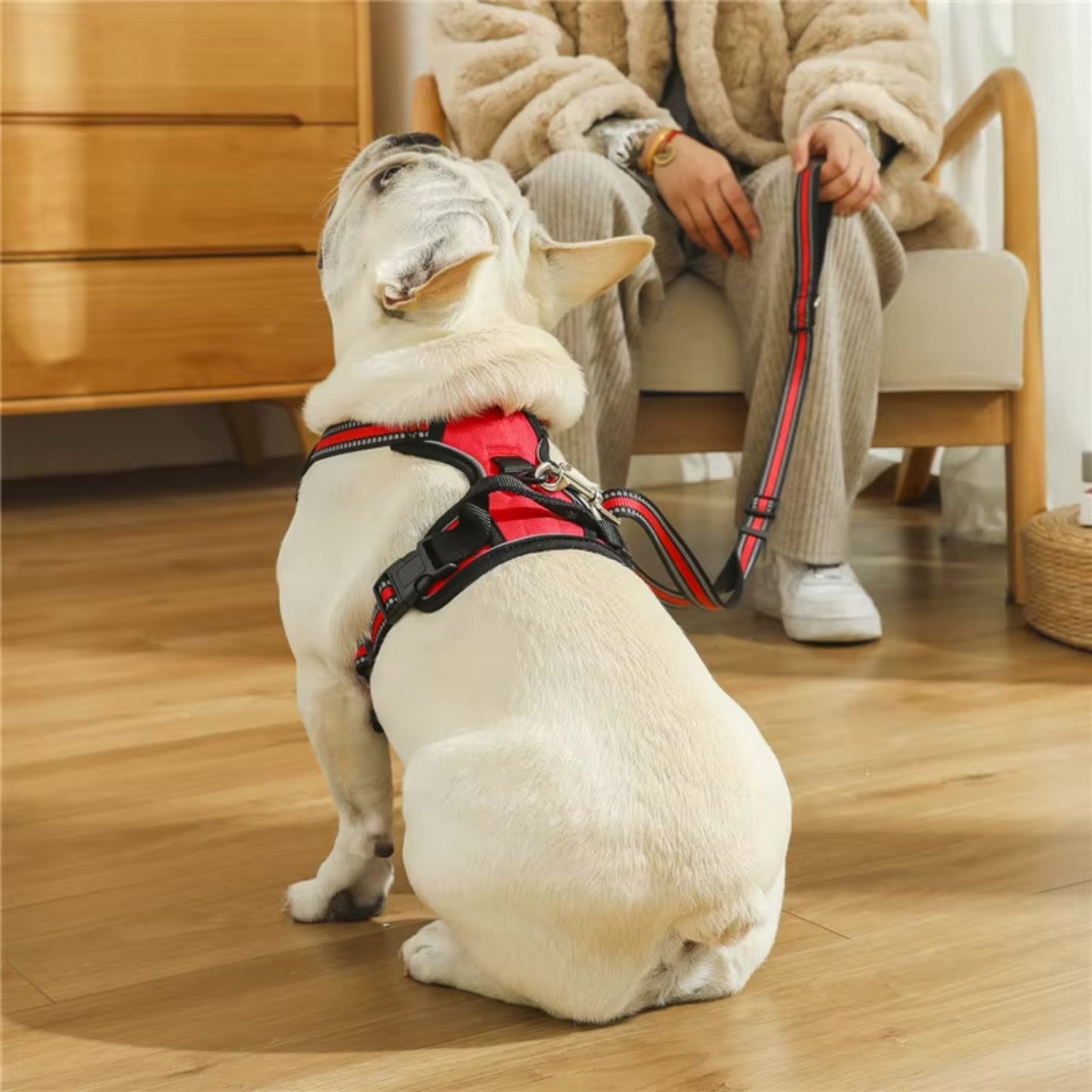 Harnais Chien Anti Traction - Confort