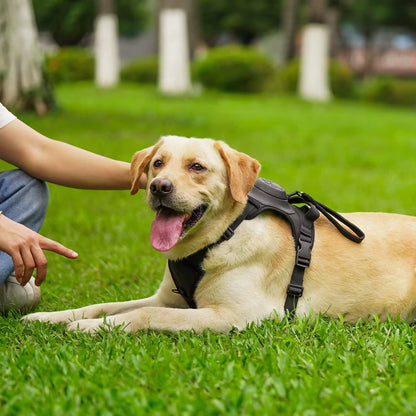 Harnais Chien Anti Traction - Laisse Intégrée™