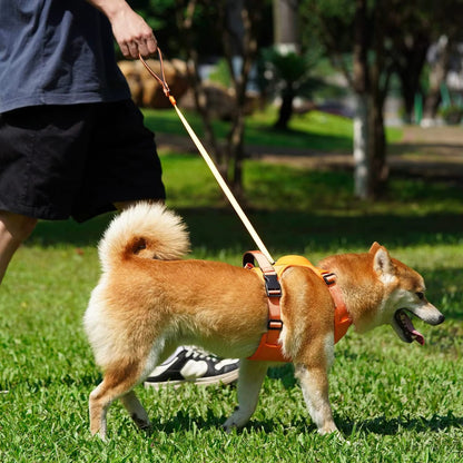 Harnais Chien Anti Traction - Laisse Intégrée™