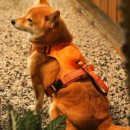 Harnais Chien Anti Traction - Laisse Intégrée™
