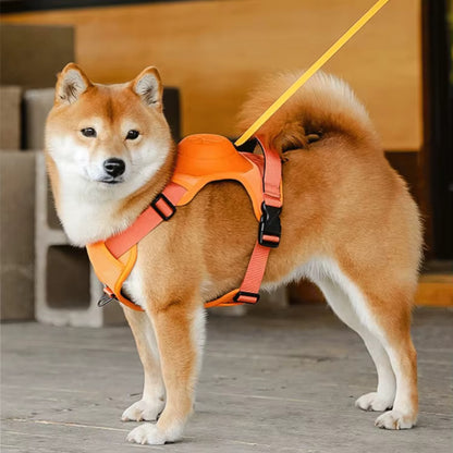 Harnais Chien Anti Traction - Laisse Intégrée™