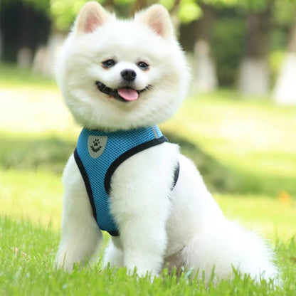 Harnais Petit Chien - Bleu