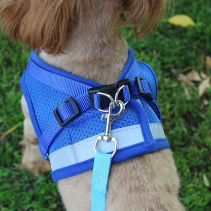 Harnais Petit Chien - Bleu