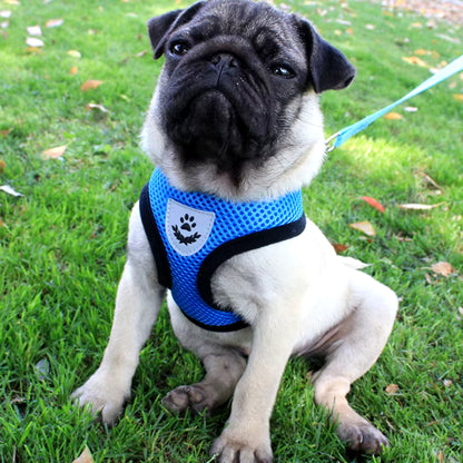 Harnais Petit Chien - Bleu