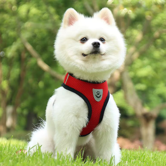 Harnais Petit Chien - MiniMate™