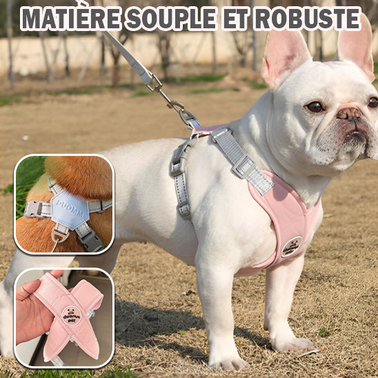 Harnais Anti Traction Chien - Rembourré