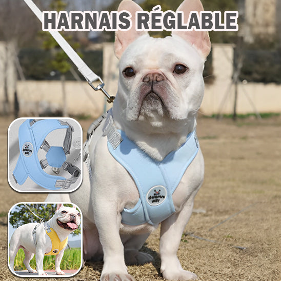 Harnais Anti Traction Chien - Rembourré