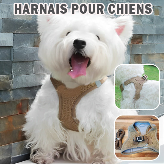 Harnais Chien - Respirant