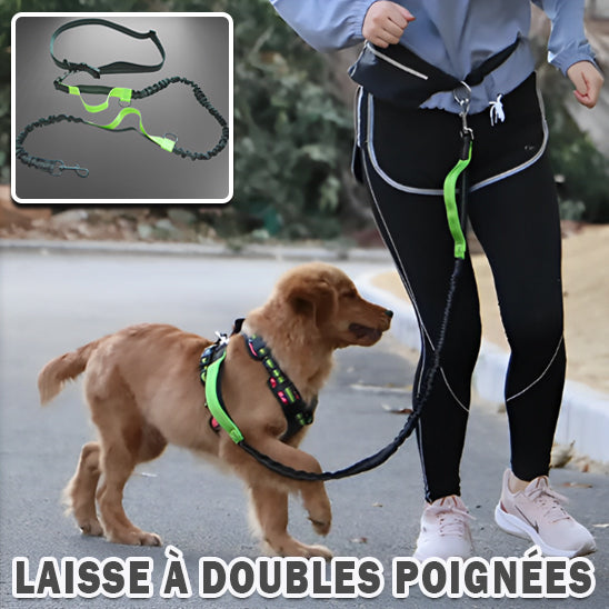 Laisse Mains Libres - DogRunner™