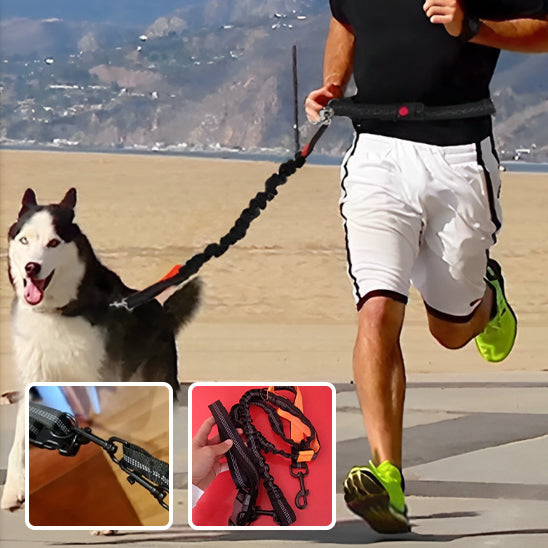 Laisse Mains Libres - DogRunner™