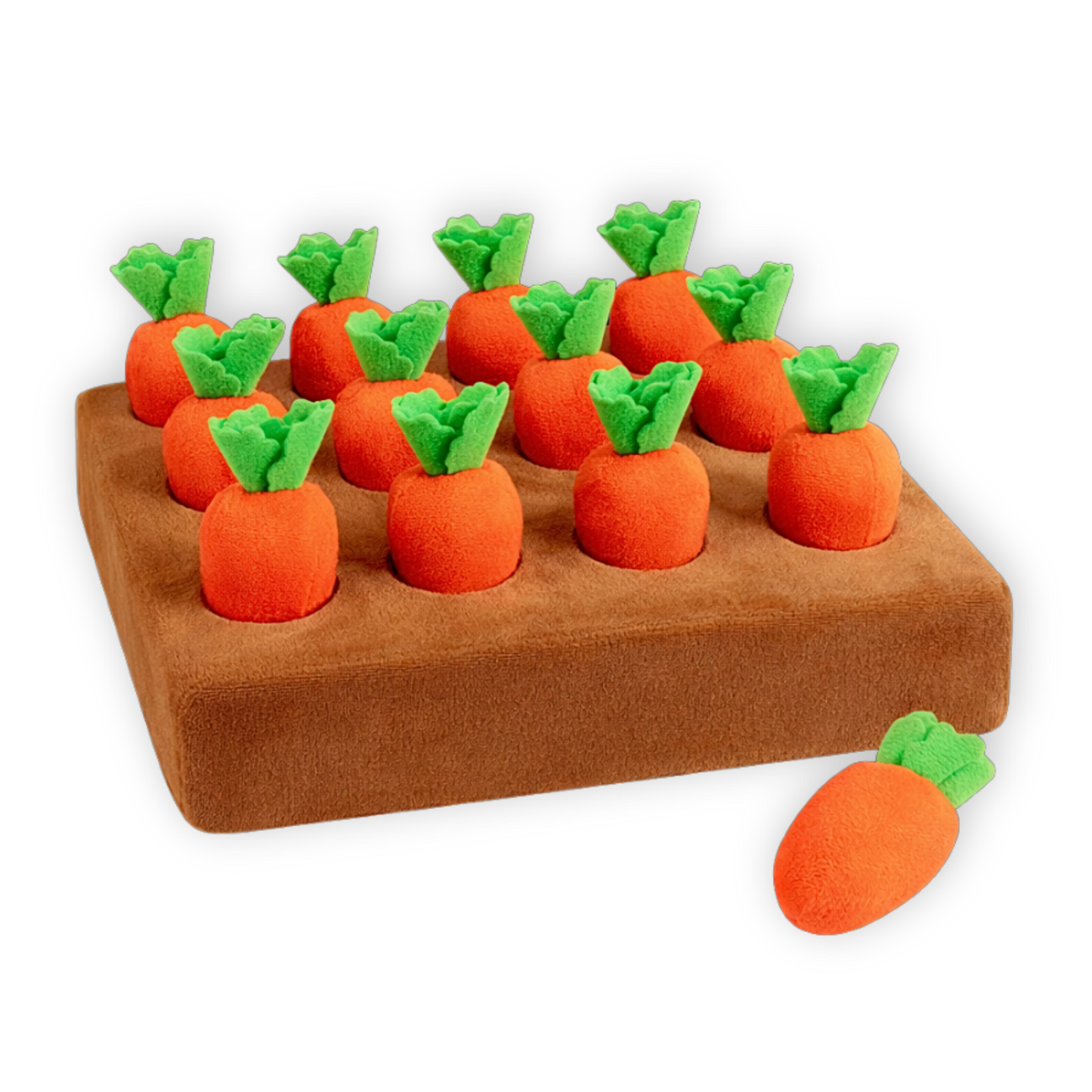 Jeu de fouille carotte pour chien