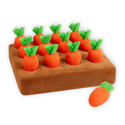 Jeu de fouille carotte pour chien