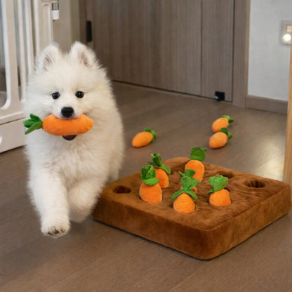 Jeu de fouille carotte pour chien