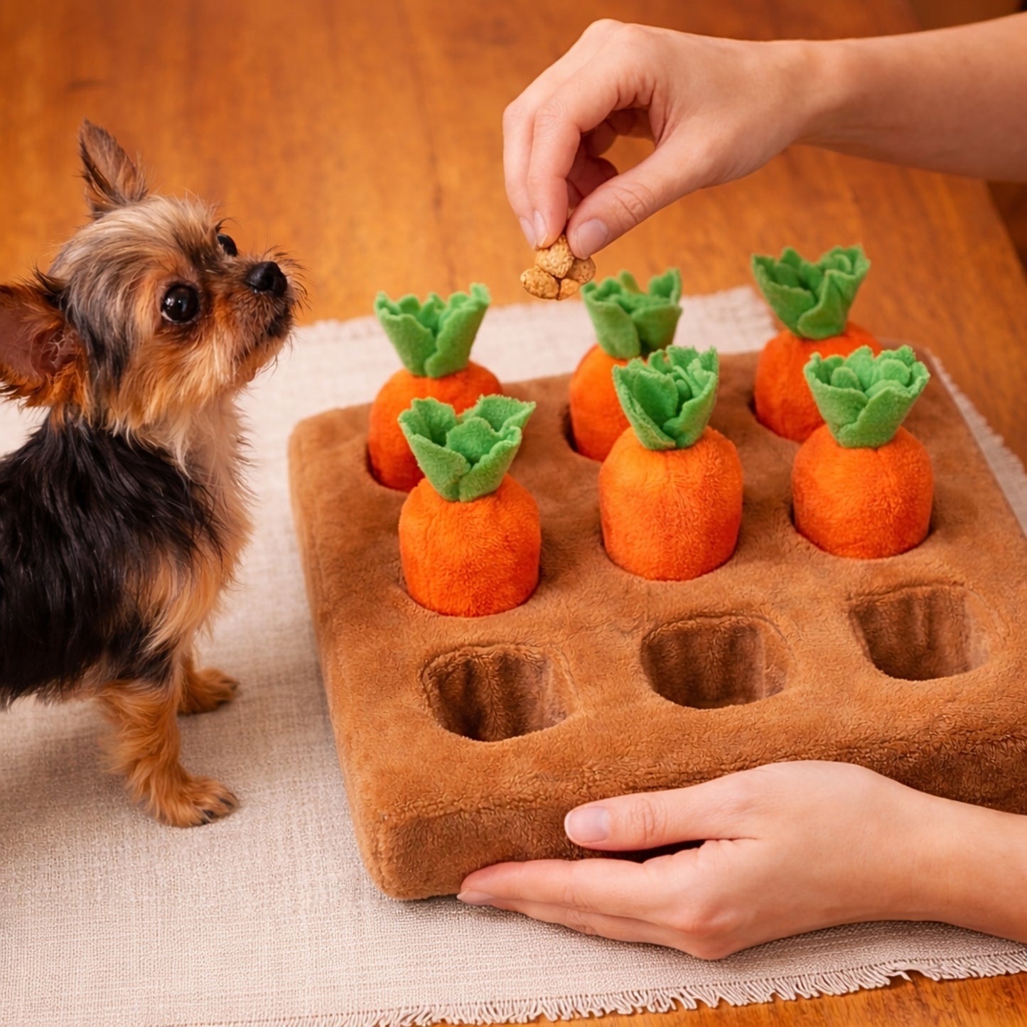 Jeu de fouille carotte pour chien