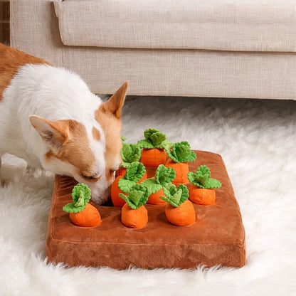 Jeu de fouille carotte pour chien