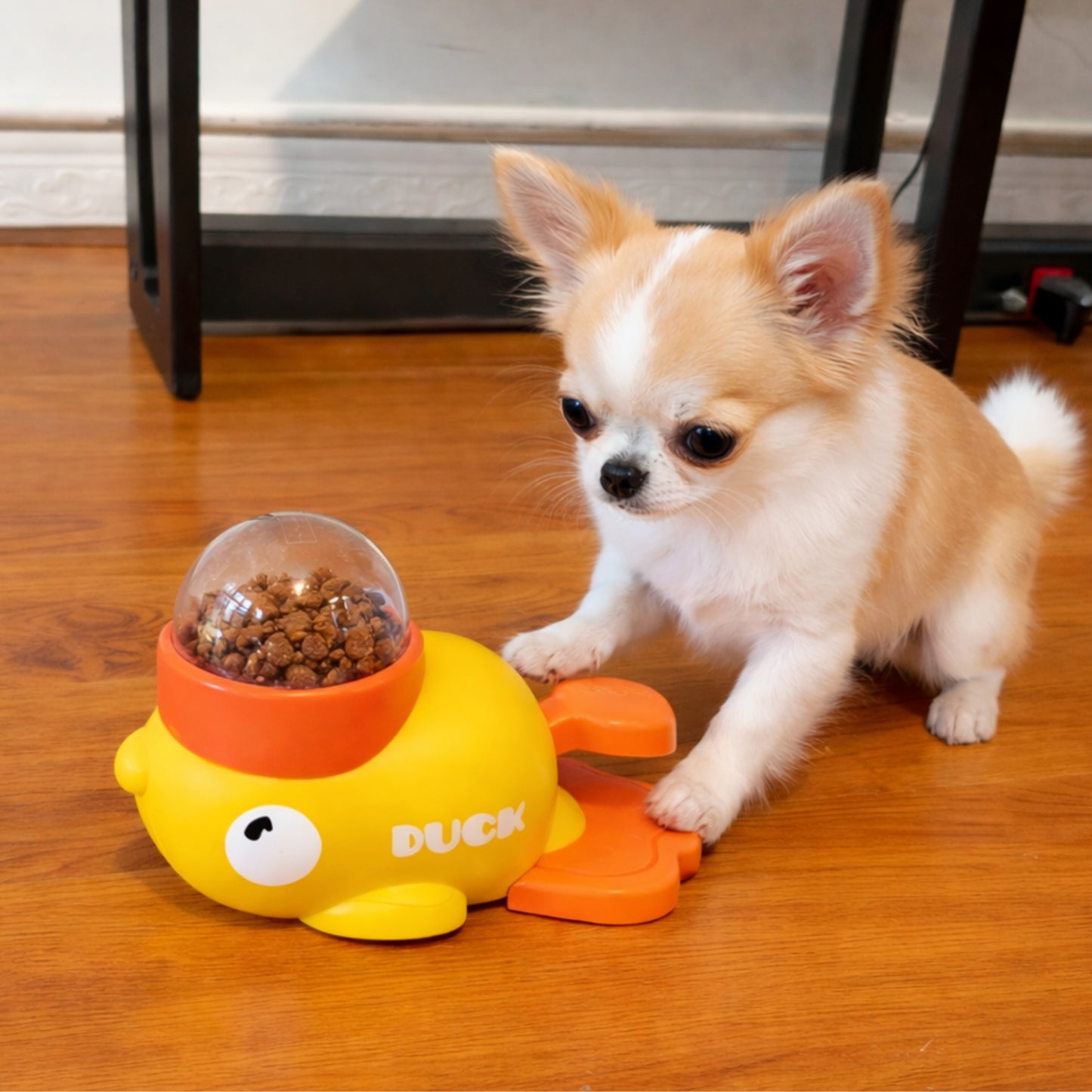 Jouet distributeur de friandises pour chien – canard