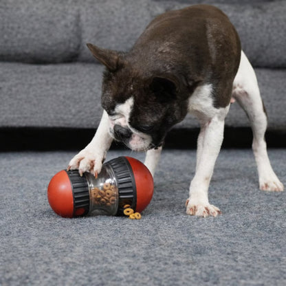Jouet distributeur de croquettes pour chien