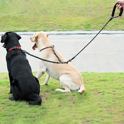 Laisse Double pour chien - Anti Traction