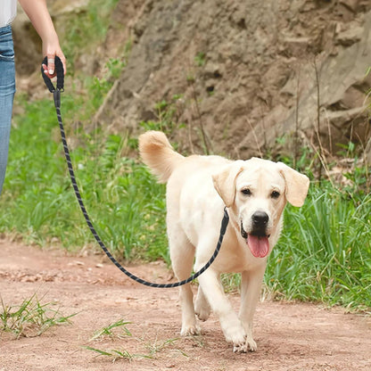 Laisse Double pour chien - Anti Traction