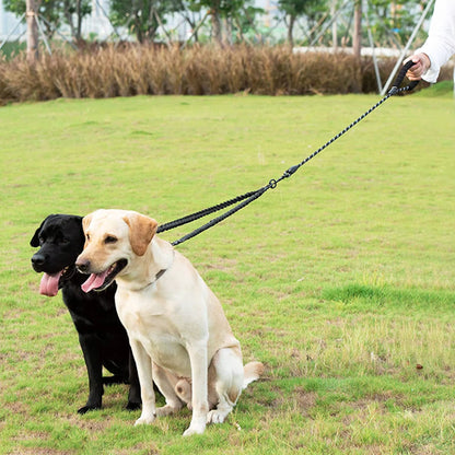 Laisse Double pour chien - Anti Traction