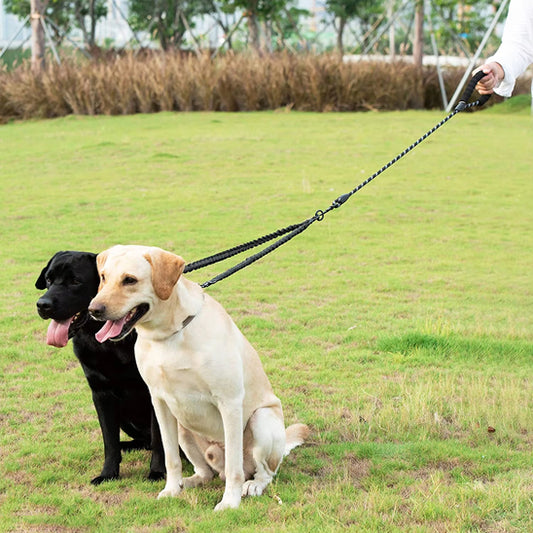 Laisse Double pour chien - Anti Traction