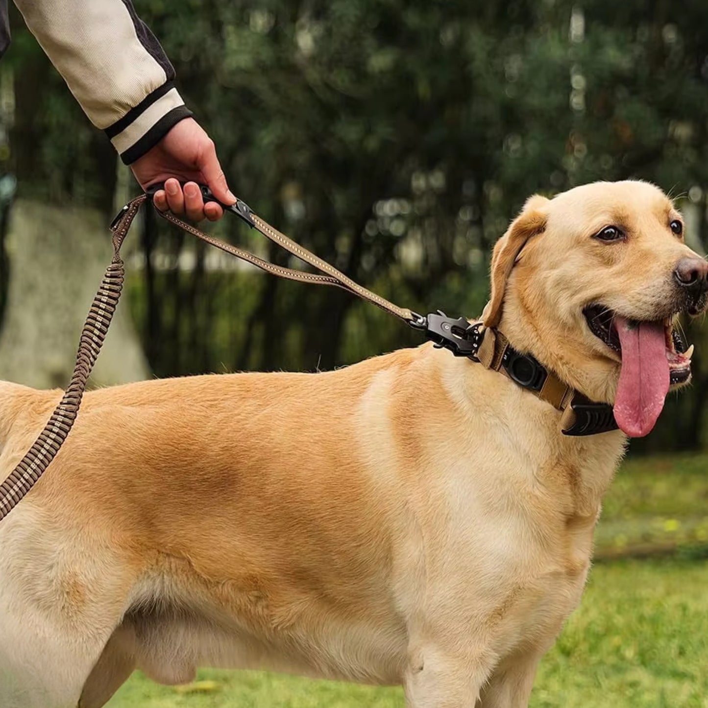 Laisse pour Chien - Anti Traction
