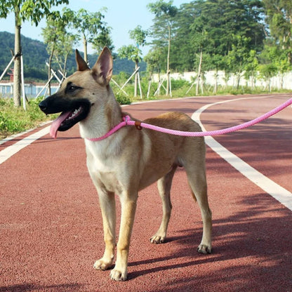Laisse pour Chien - Antidérapante