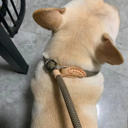 Laisse pour Chien - Corde Résistante
