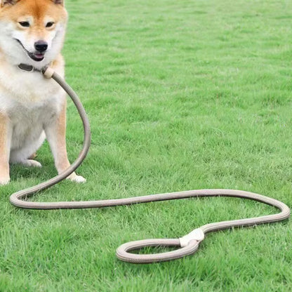 Laisse pour Chien - Corde Résistante