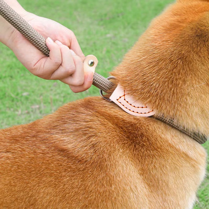 Laisse pour Chien - Corde Résistante