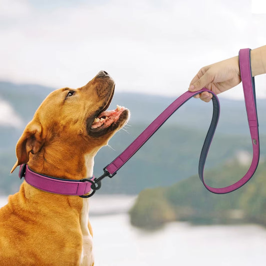 Laisse pour Chien - Cuir Doux