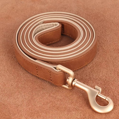Laisse pour Chien - Cuir Rembourré