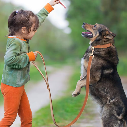 Laisse pour Chien - Cuir Rembourré