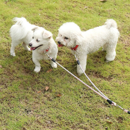 Laisse pour Chien - Double