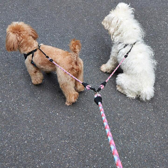 Laisse pour Chien - Double