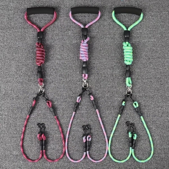 Laisse pour Chien - Double