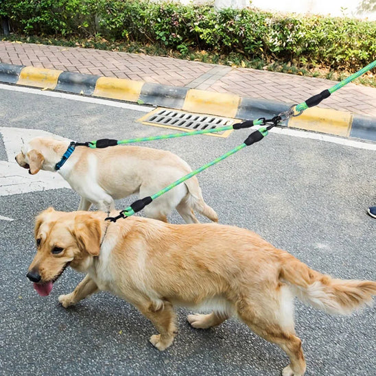 Laisse pour Chien - Double